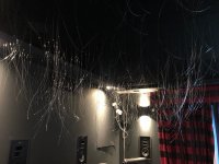 31043766-f656-44d3-95dc-58b156f6ef08.jpg