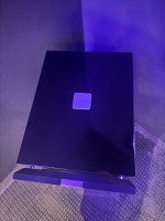 IMG_4287.jpeg