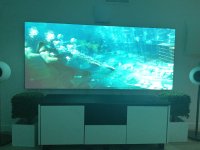 IMG_1303.JPEG